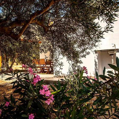 Villa Flamingo Colour Valey House Palekastro Exterior foto