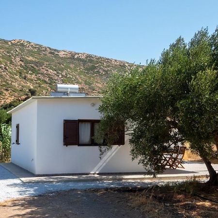 Villa Flamingo Colour Valey House Palekastro Exterior foto