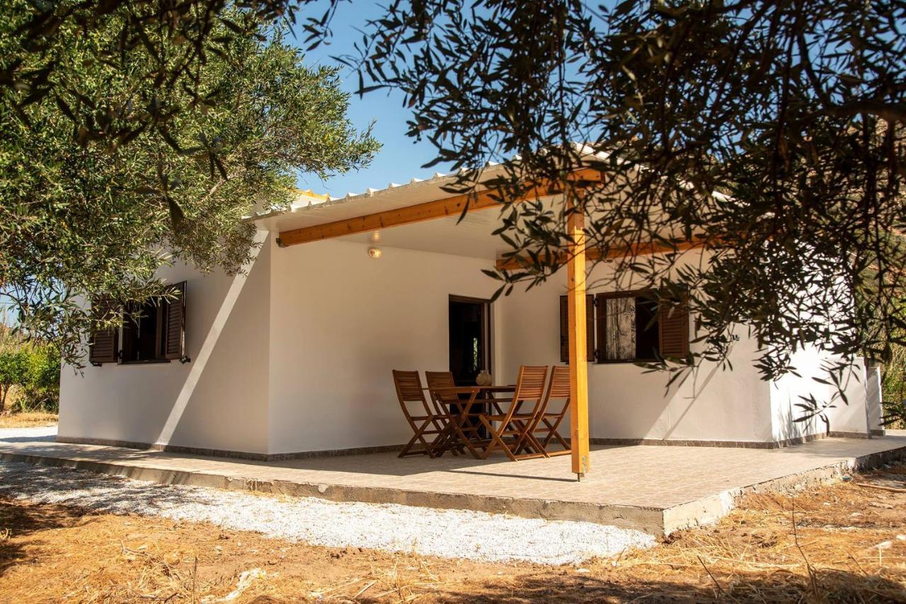 Villa Flamingo Colour Valey House Palekastro Exterior foto